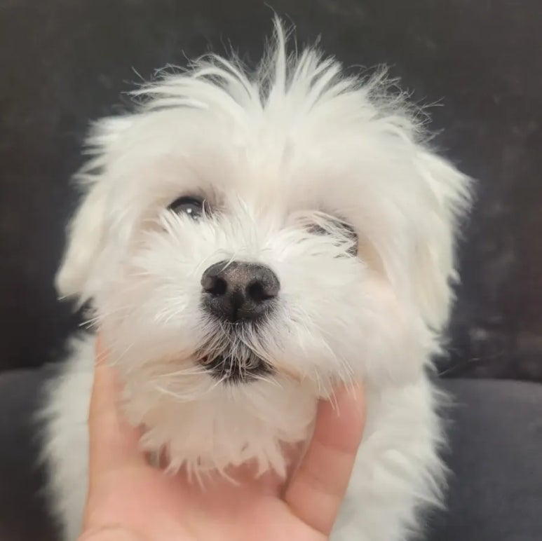 미용타운 이미지