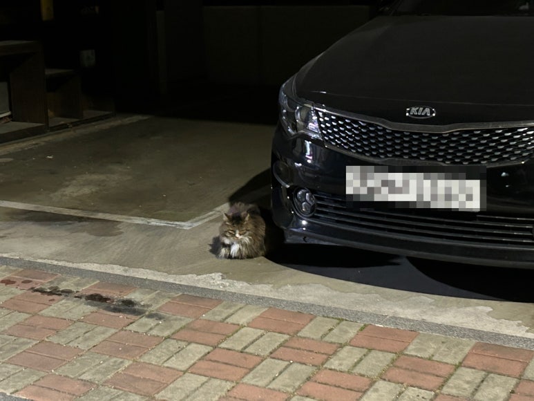 암사노래연습장 이미지