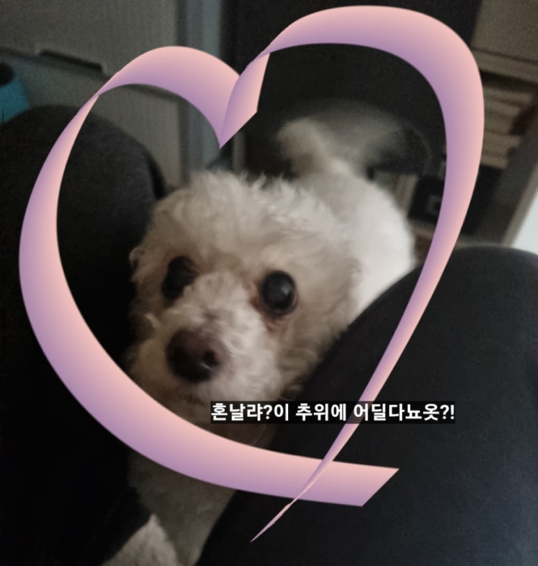 대구뽈찜무진장왕뽈때기 이미지