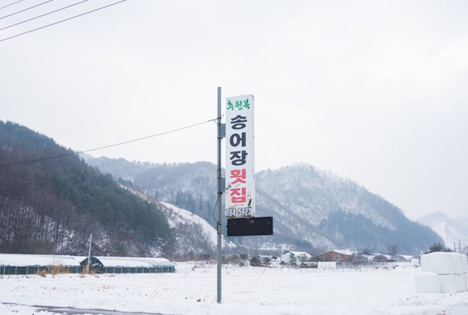 추원복송어장 이미지