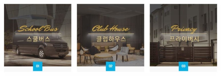 테디피트니스 이미지