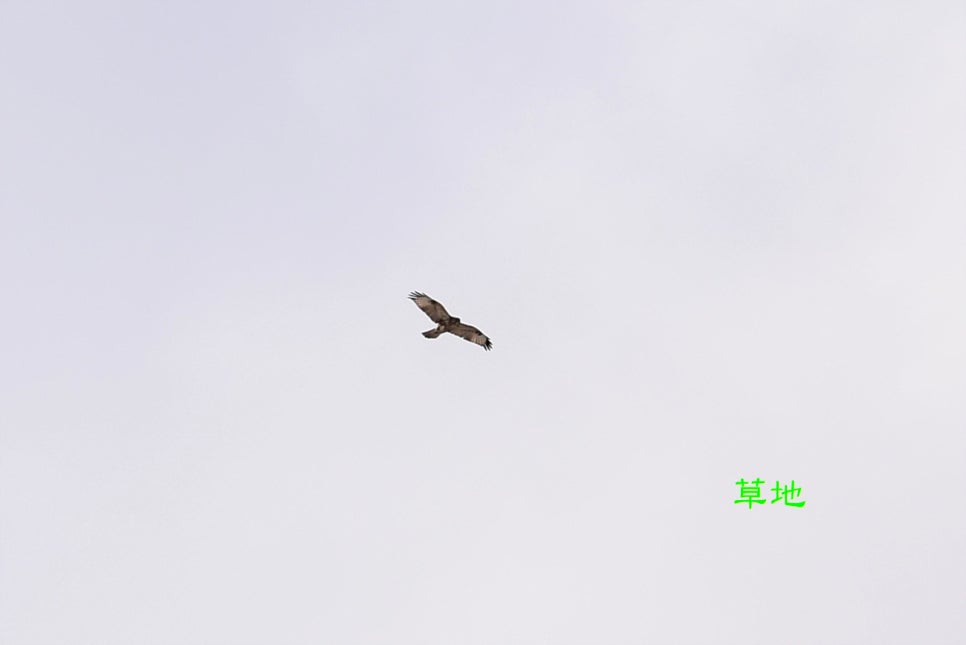 곰소쉼터 이미지
