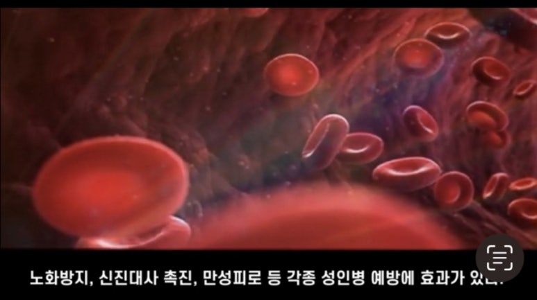 카페채움 이미지