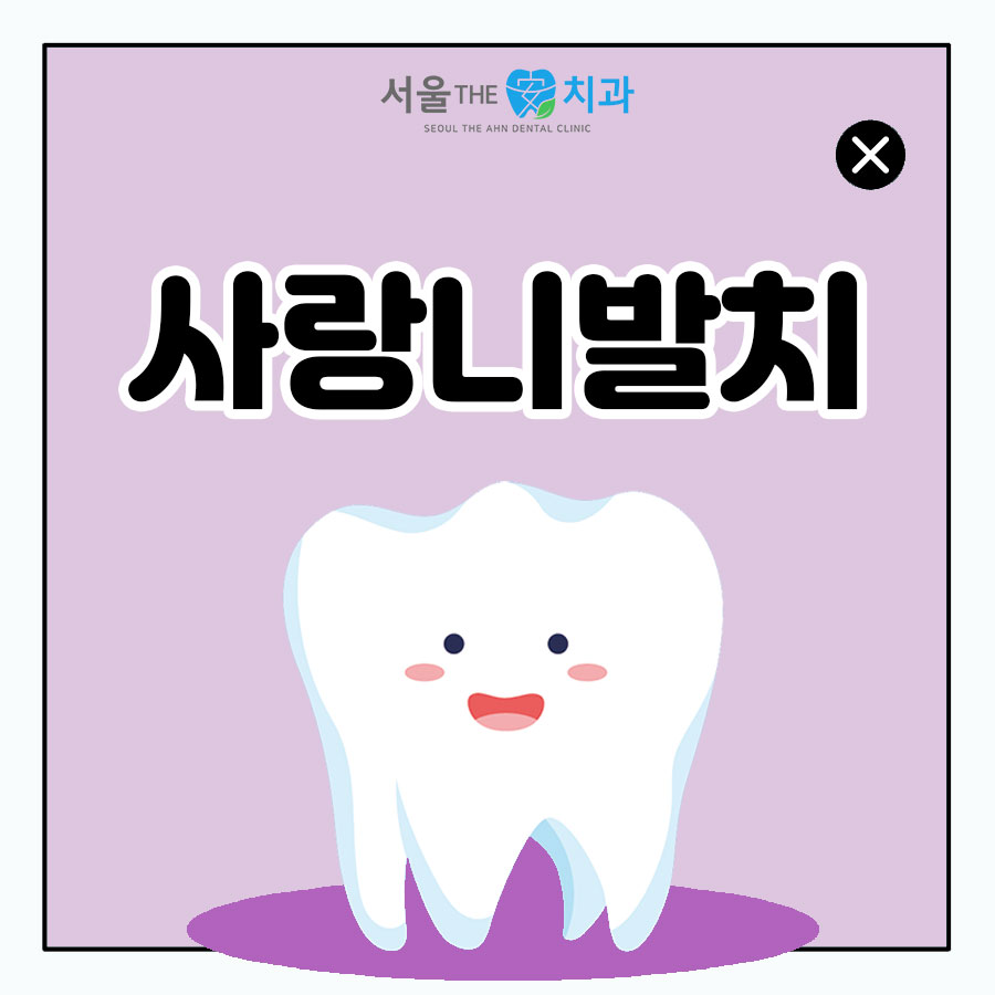 서울더정성치과 이미지
