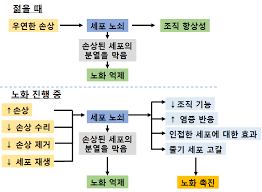 더건PT 이미지