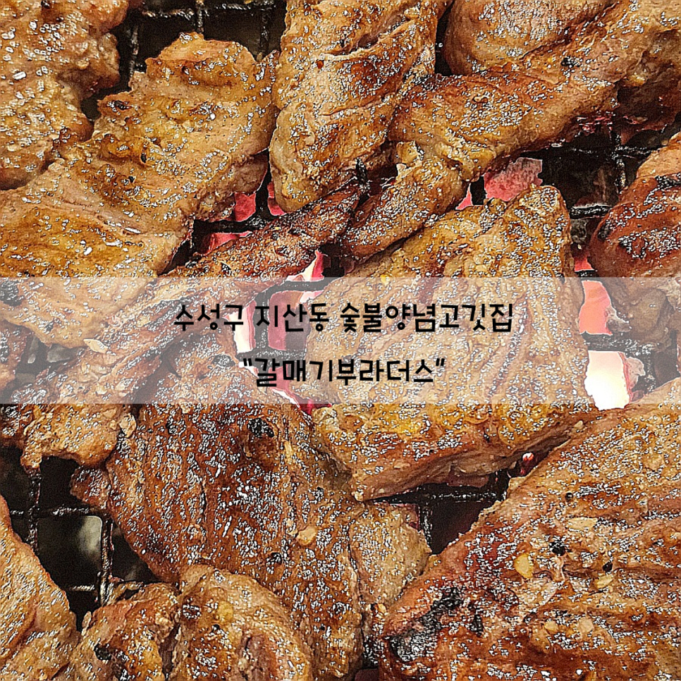 갈매기부라더스 이미지