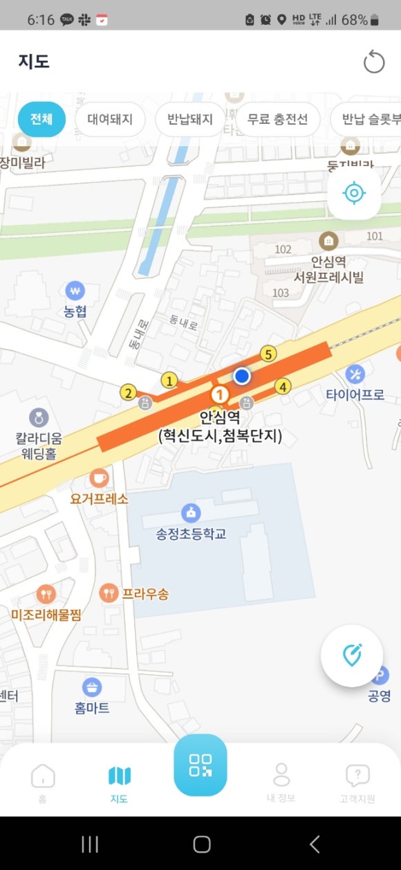 돼지33 이미지