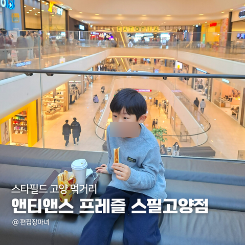앤티앤스프레즐스타필드 이미지