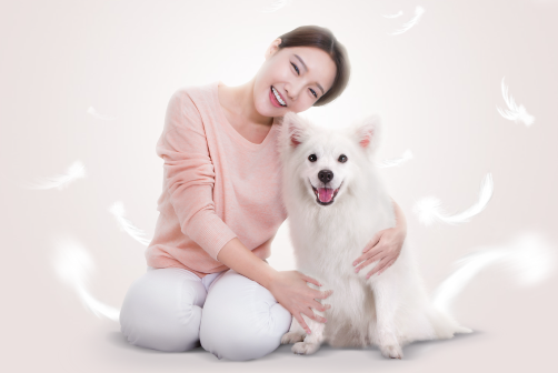 피씨에이치 이미지
