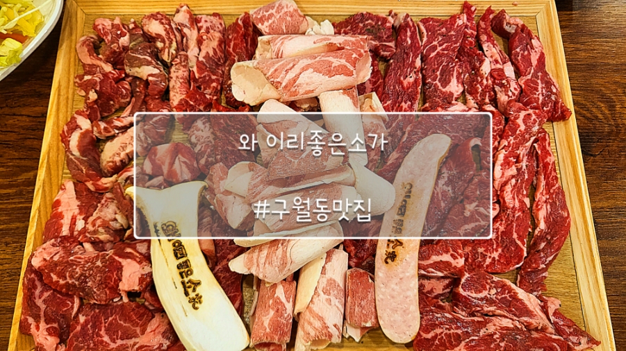 와!이리좋은소가 이미지