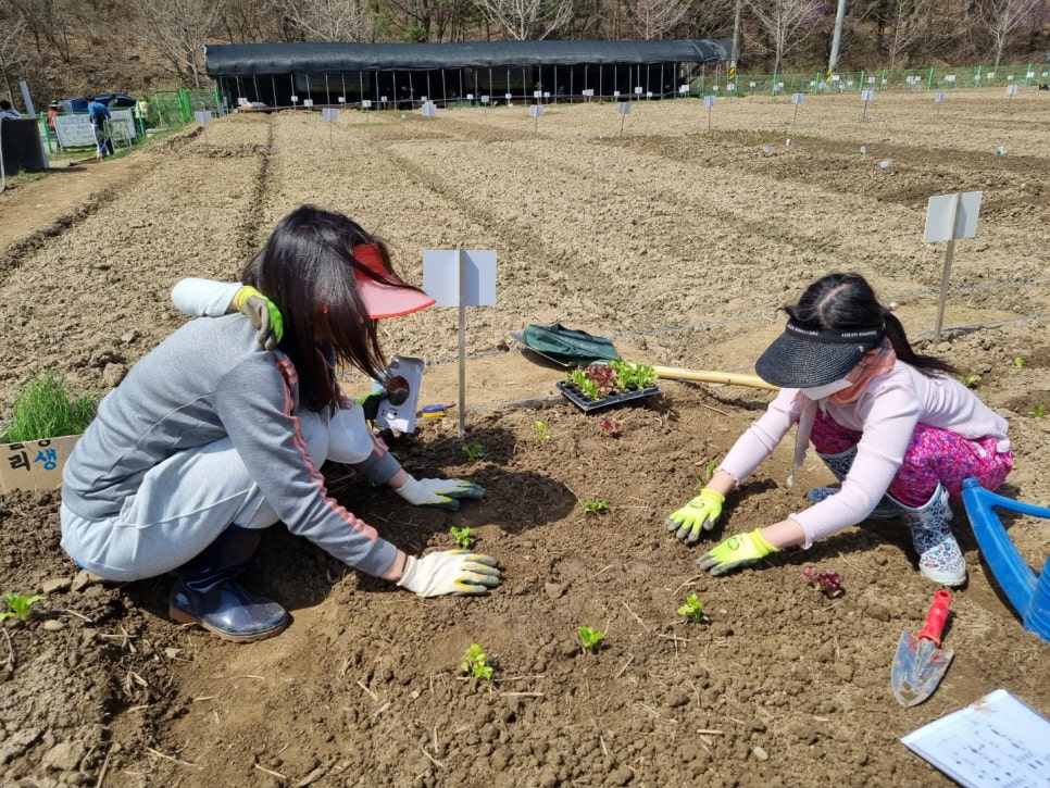 송촌농장 이미지