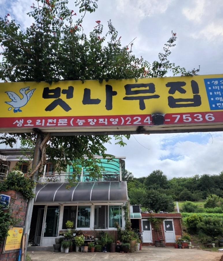 벗나무집 이미지