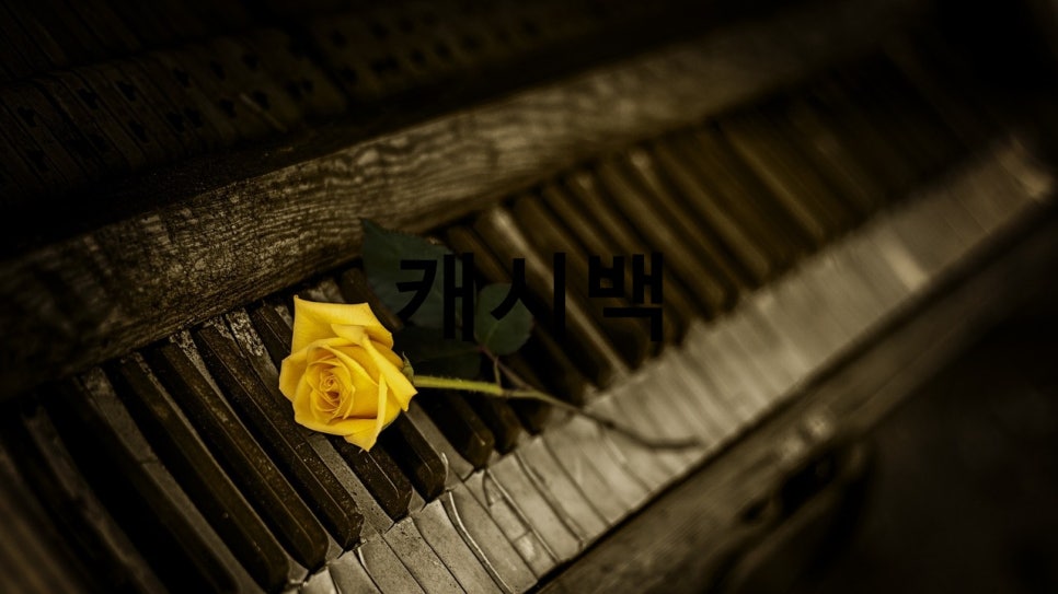 디자인뱅크 이미지