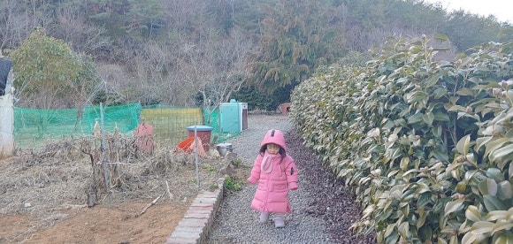 안포sea한옥밥상 이미지