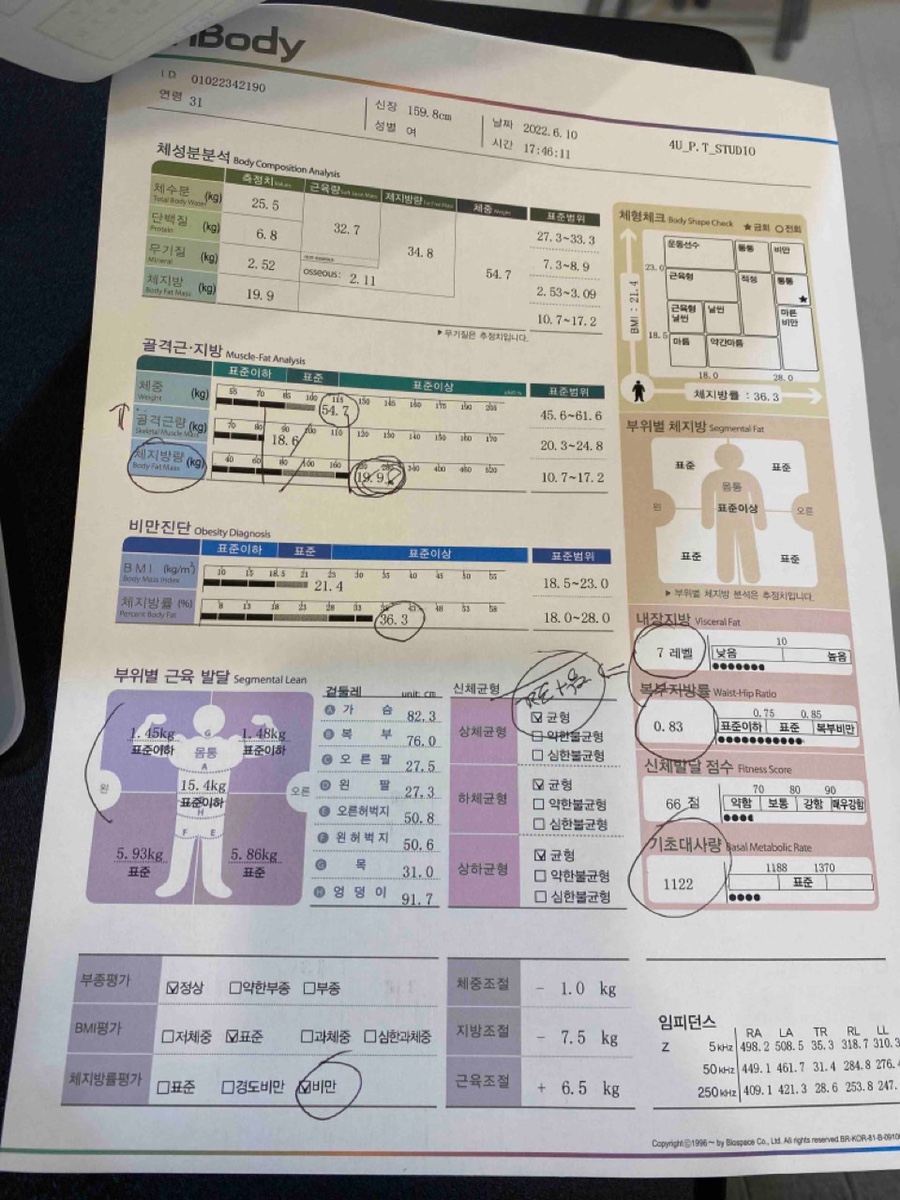 포유피티스튜디오 이미지