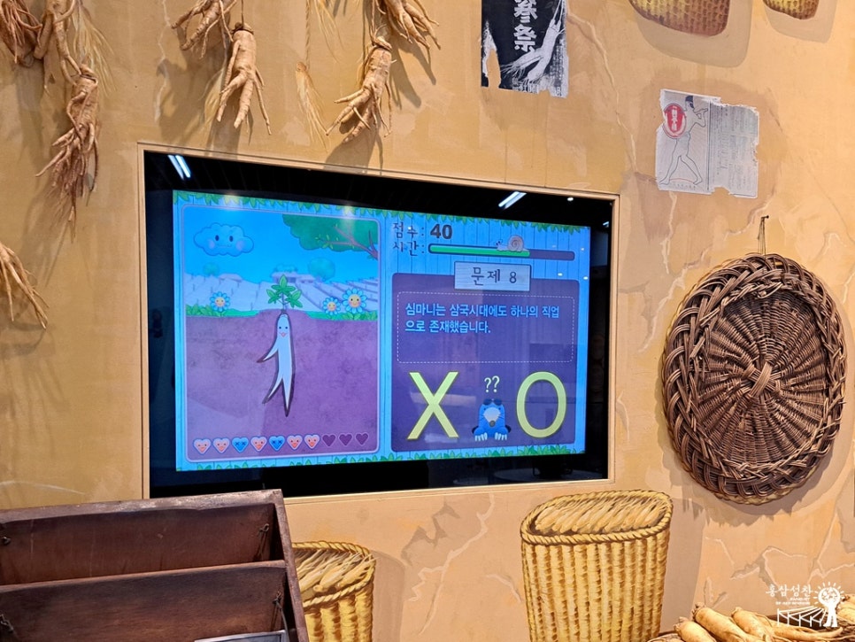 풍기고려인삼사 이미지