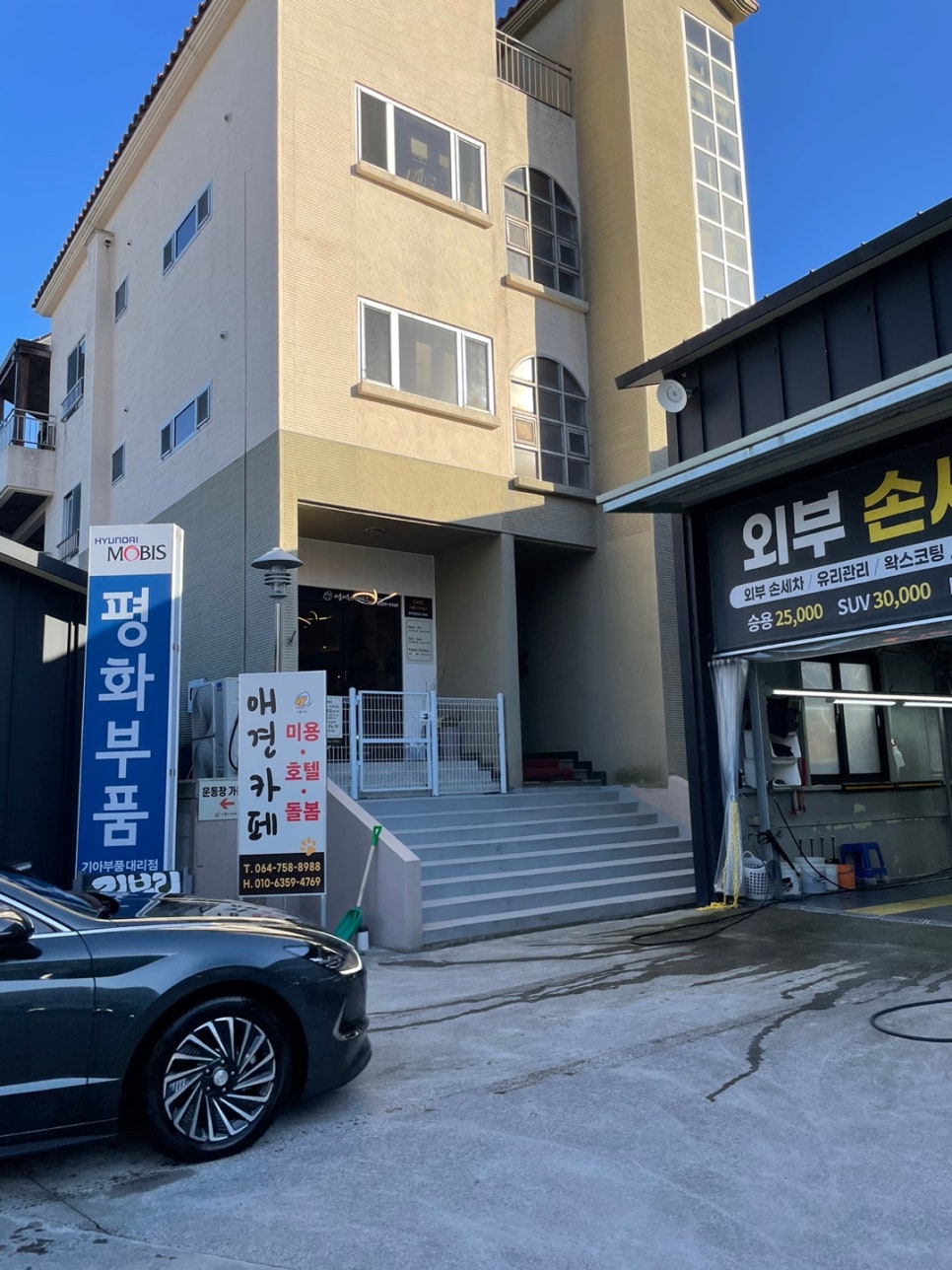 러블리독스 이미지