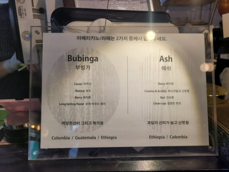 브론시스 이미지