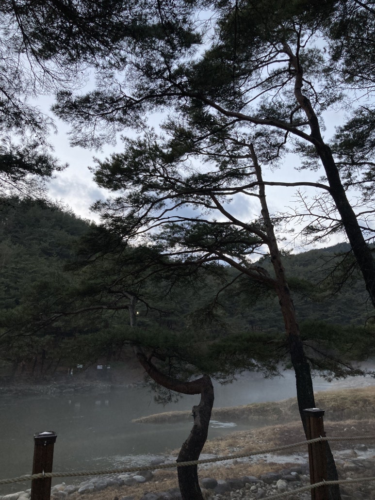 수승대마트 이미지