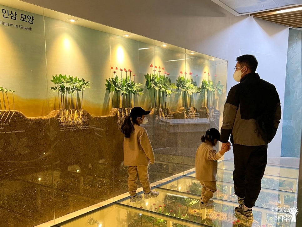 풍기고려인삼사 이미지