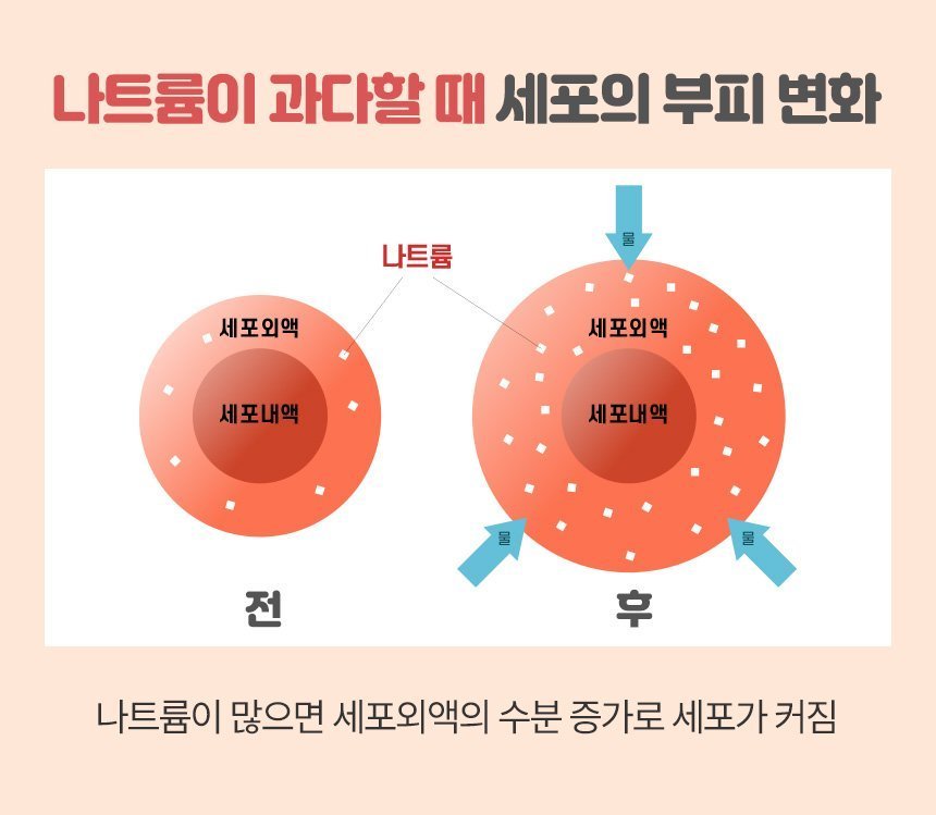 티.케이 이미지