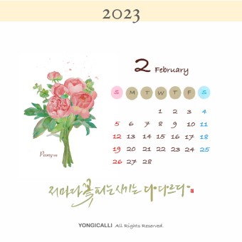 대전신발 이미지