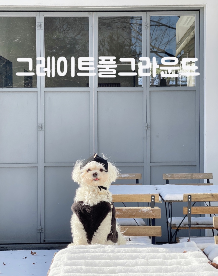 그레이트풀그라운드 이미지
