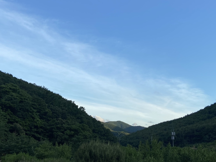 (주)햇슈 이미지