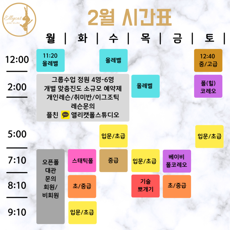 앨리캣폴스튜디오 이미지