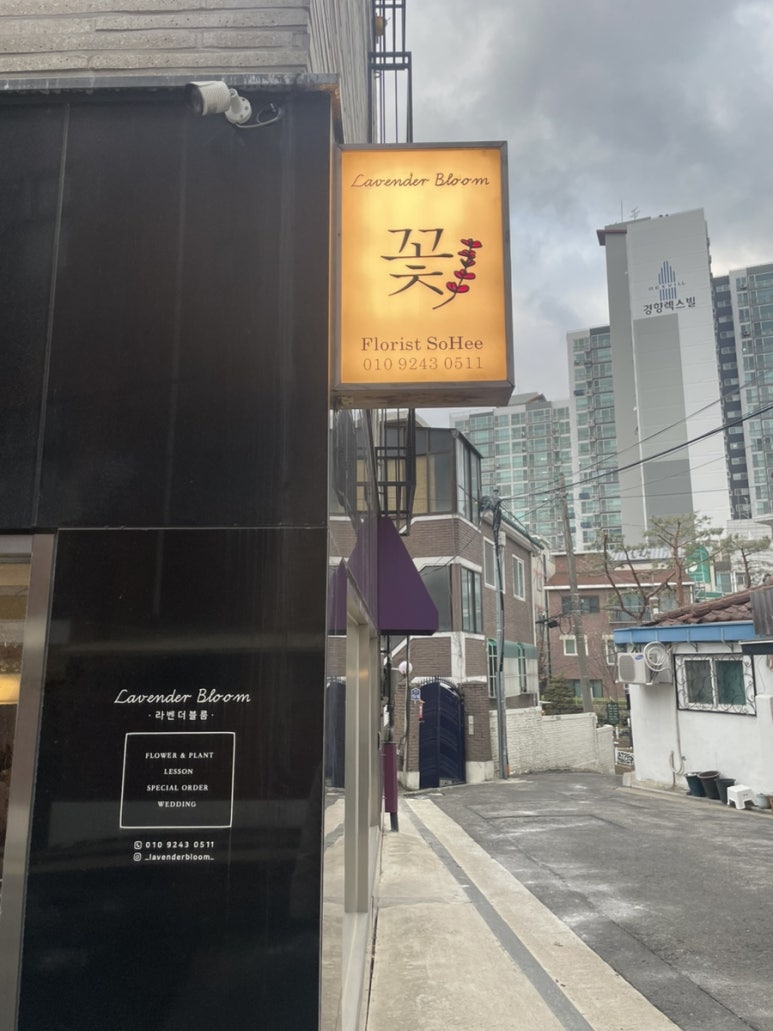 라벤더블룸 이미지