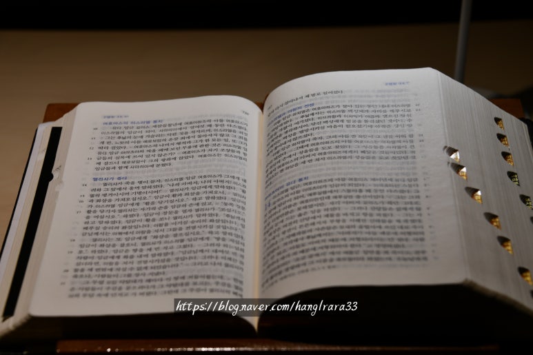 큰성지어린이집 이미지