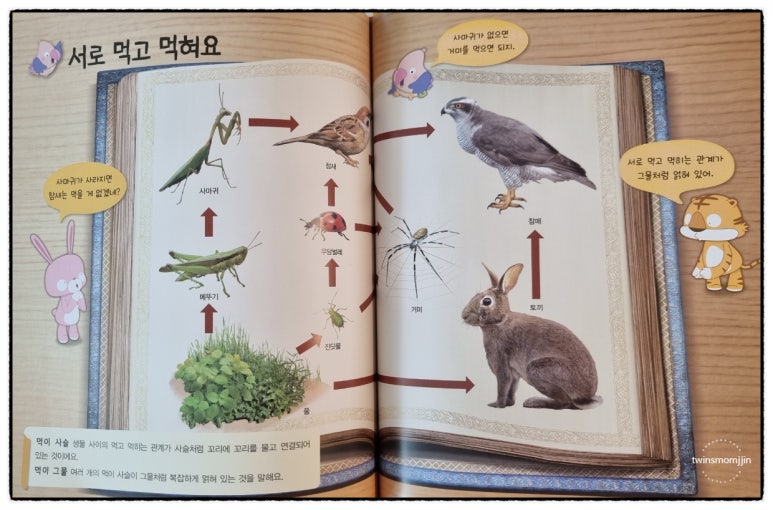 잡아잡아 이미지