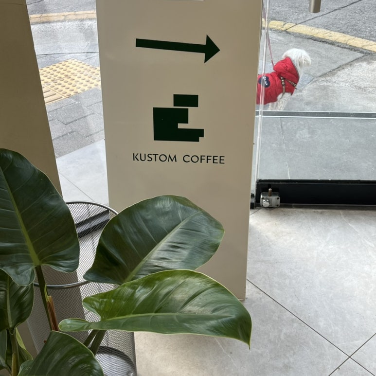 어나더커스텀 이미지