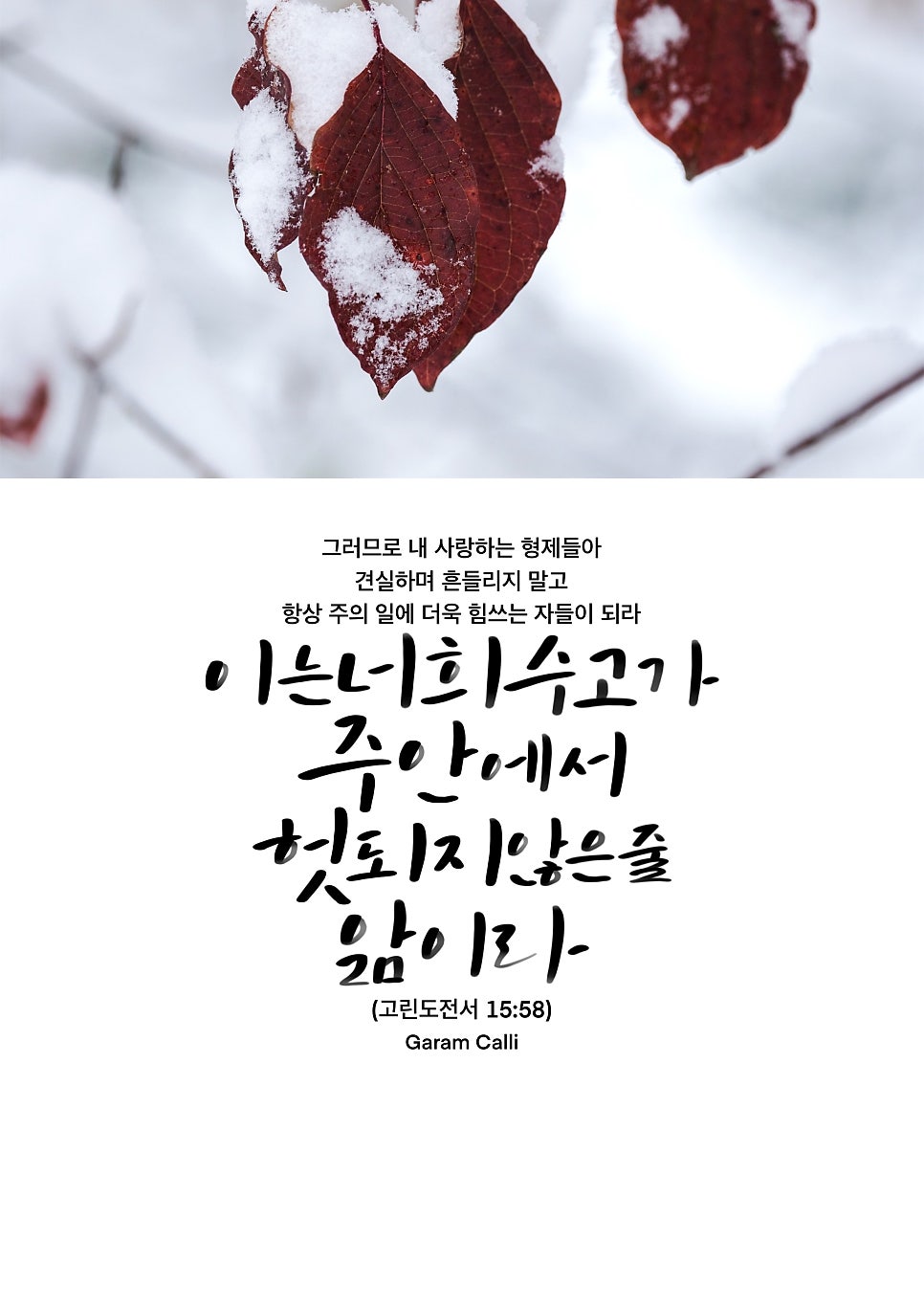 가람(이*일) 이미지