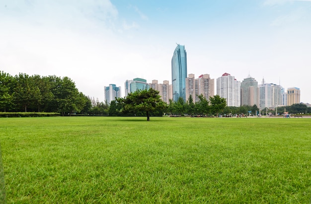 강남행정사사무소 이미지