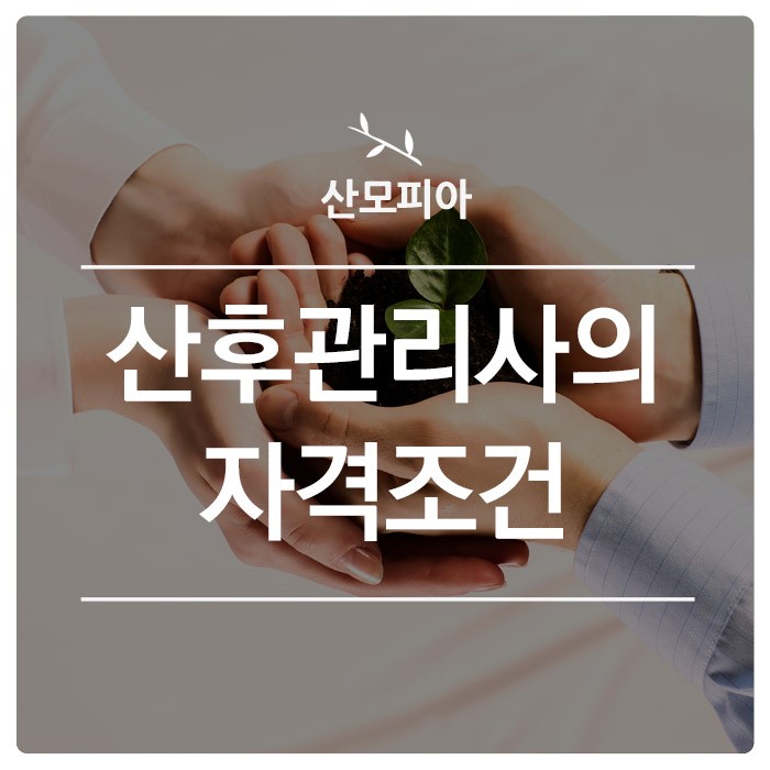 산모피아 마포/서대문/은평지사 이미지