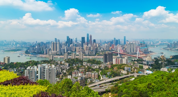 강남행정사사무소 이미지