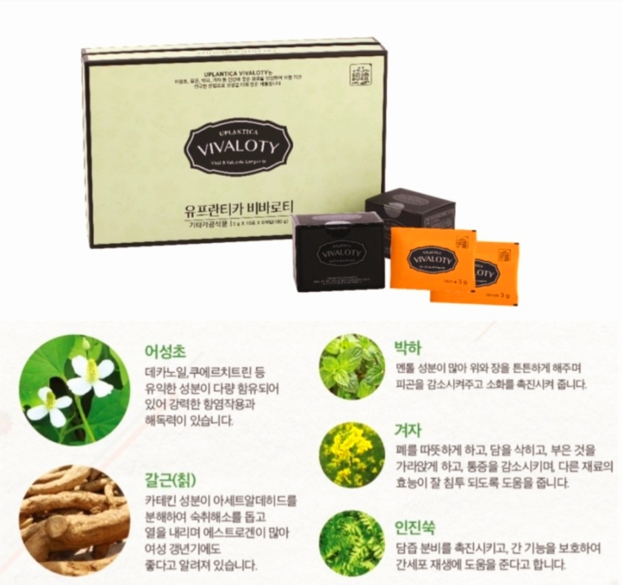 와이존 세비클럽 이미지