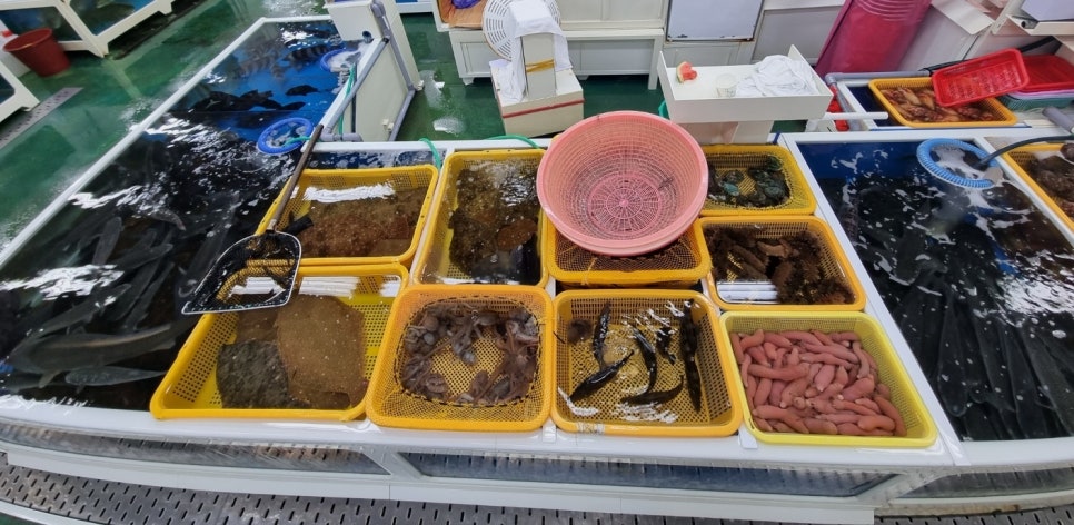 동방상회 이미지