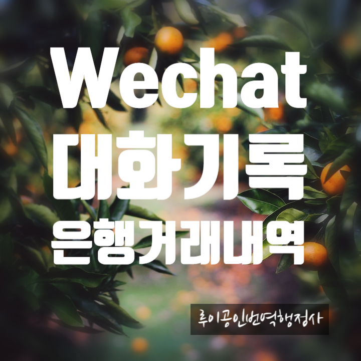 루이공인번역행정사사무소 이미지