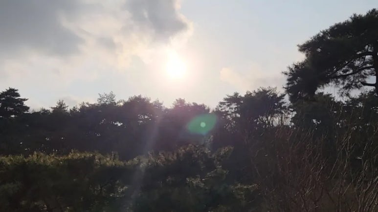 카페 쉼터 이미지