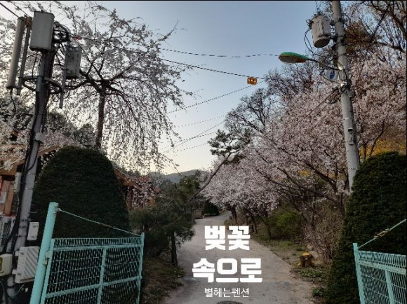 숲속나들이펜션 이미지