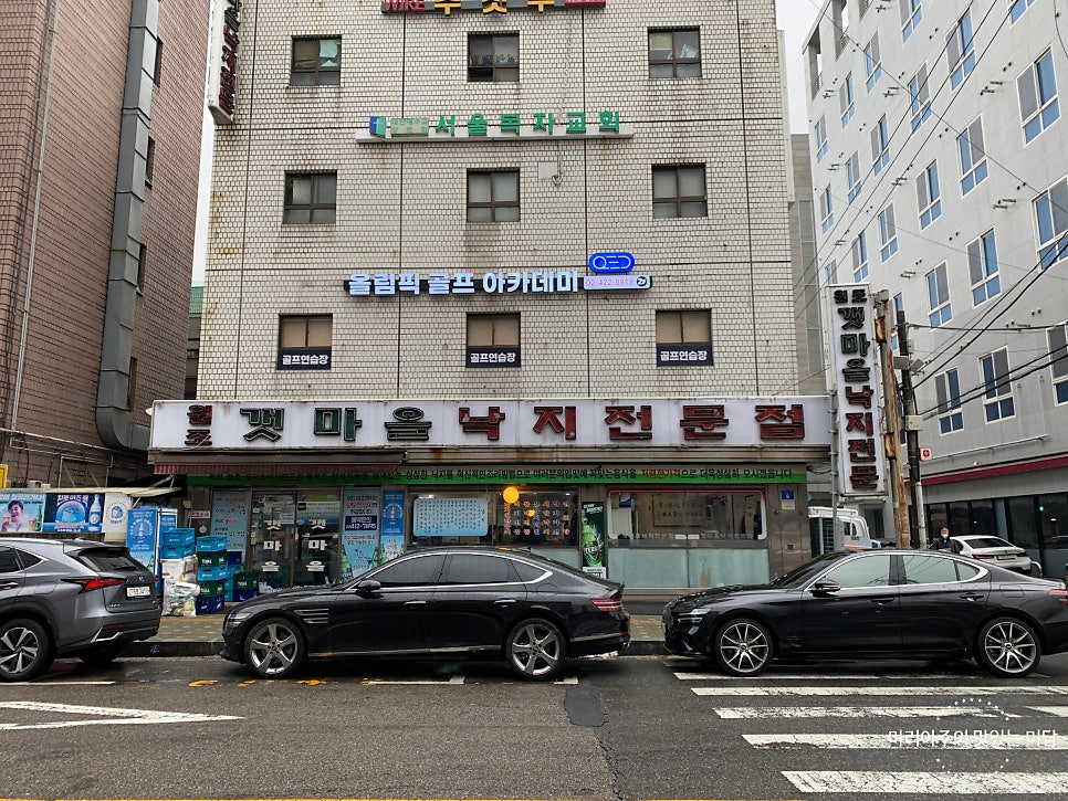 원조갯마을낙지 이미지