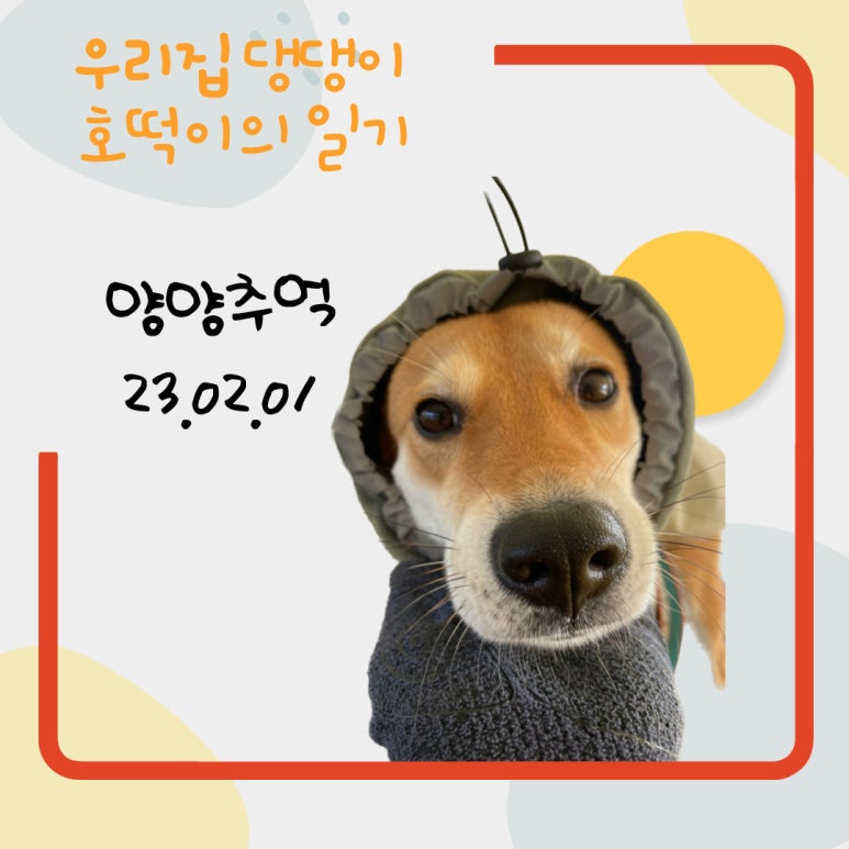샘 호떡 이미지