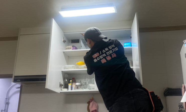 특청사 이미지