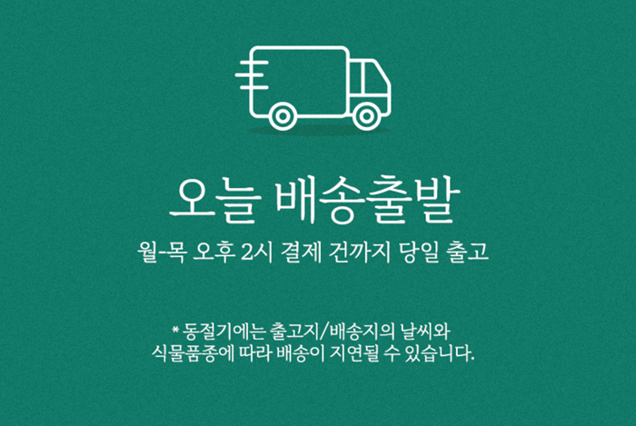 화분나라 이미지