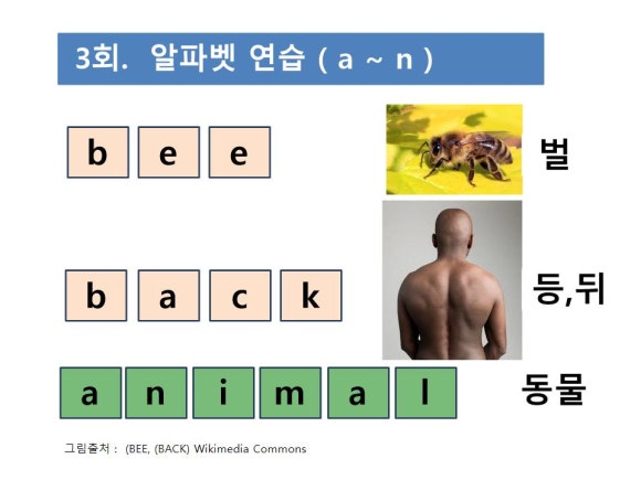 에이비이아이 이미지