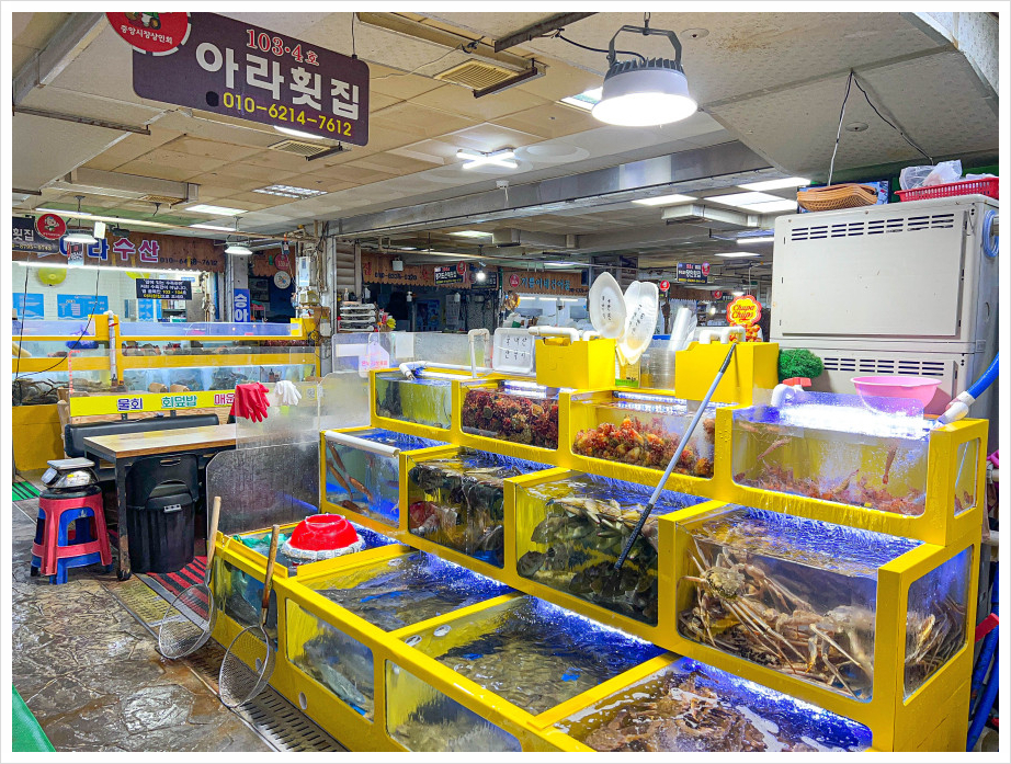 하이횟집 이미지
