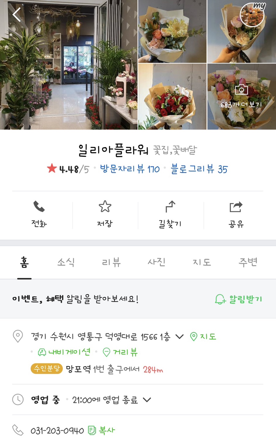일리아플라워 이미지