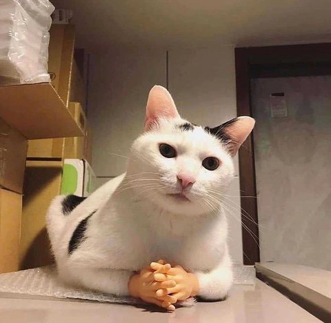 길이식당 이미지